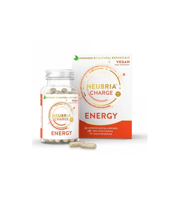 NEUBRIA CHARGE ENERGY CPS A 60